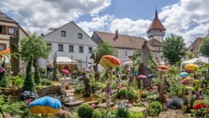 Das bewegt Bayreuth: Was an Pfingsten in Stadt und Region wichtig wird