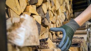 Bayern setzt weiter voll auf Holz-Energie