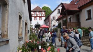 Rosen- und Kunsttage: Besucher aus ganz Oberfranken in Hollfeld