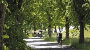 Radwege: Bürger kritisieren Landkreis Kulmbach