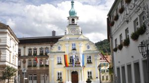 Kulmbacher Stadtrat streitet wegen Petition