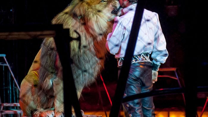 Bayreuth: Stadtrat entscheidet über Wildtier-Verbot für Zirkusse