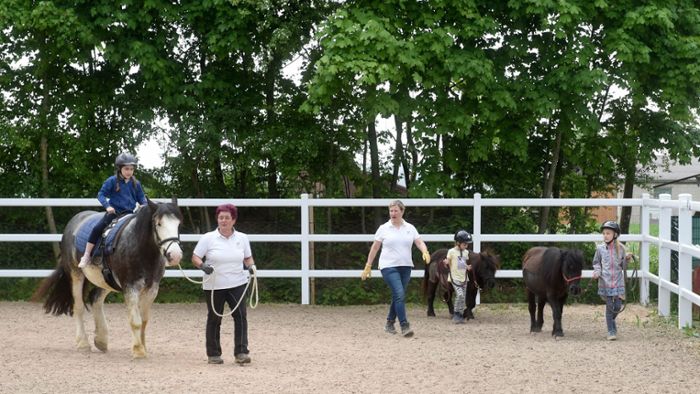 Reiten in der Grundschule: Unterricht im Pferdestall