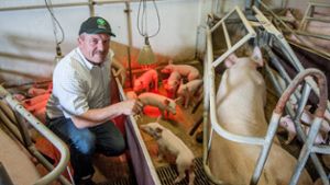 Gesetzgeber will Antibiotikaeinsatz in der Landwirtschaft reduzieren