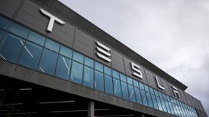 Autobauer: Tesla verteidigt Erweiterungsplan und setzt auf Kooperation