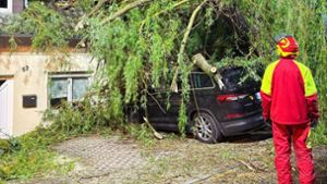 Sturm über Thüringen: Baum kracht in Kinderbett
