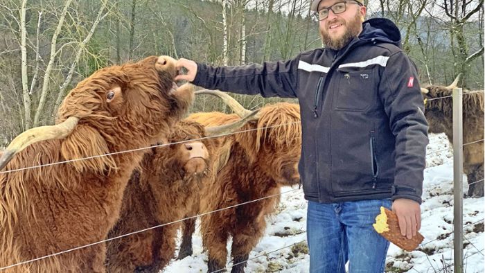 Hochlandrinder aus Pullendorf: Sanfte Riesen finden neues Zuhause