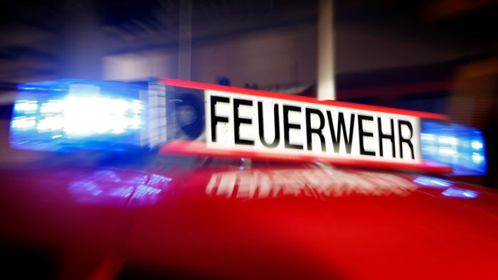 50.000 Euro Schaden bei Scheunenbrand in Trebgast entstanden