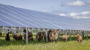 Gemeinderatssitzung: Kirchenpingartener Solaranlage nimmt letzte Hürde