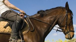 Reiterin mit Pferd nach Unfall geflüchtet