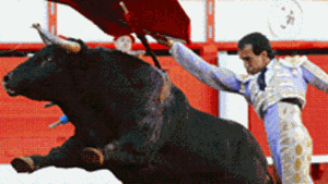 Stierkampfverbot in Katalonien beschlossen