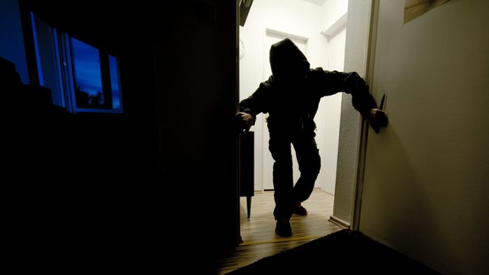 Einbrecher steigen in Einfamilienhaus ein