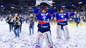 Ex-Nationaltorwart Endras beendet Eishockey-Karriere