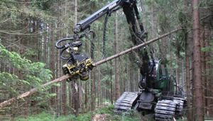 Neue Bürgerinitiative gegen Waldzerstörung