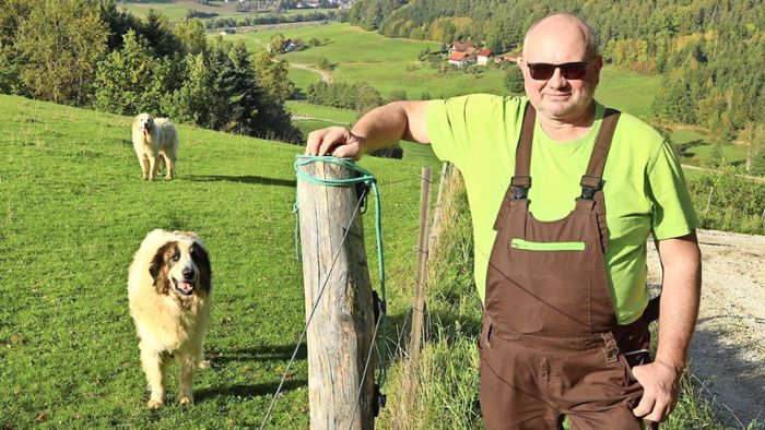 Schrenkersberg: Darum züchtet Norbert Böhmer Bio-Rinder