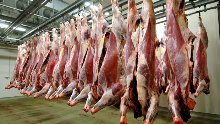 Kulmbacher Bauern sehen Fleischpreis im Abwärtstrend