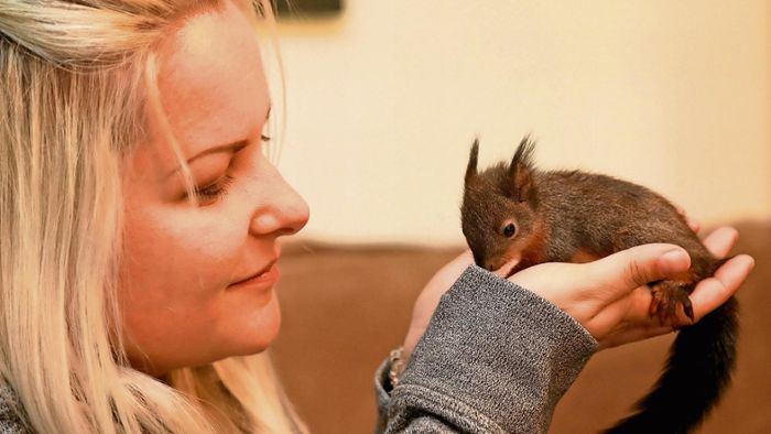 Neues Zuhause: Hund entdeckt Eichhörnchen-Kinder