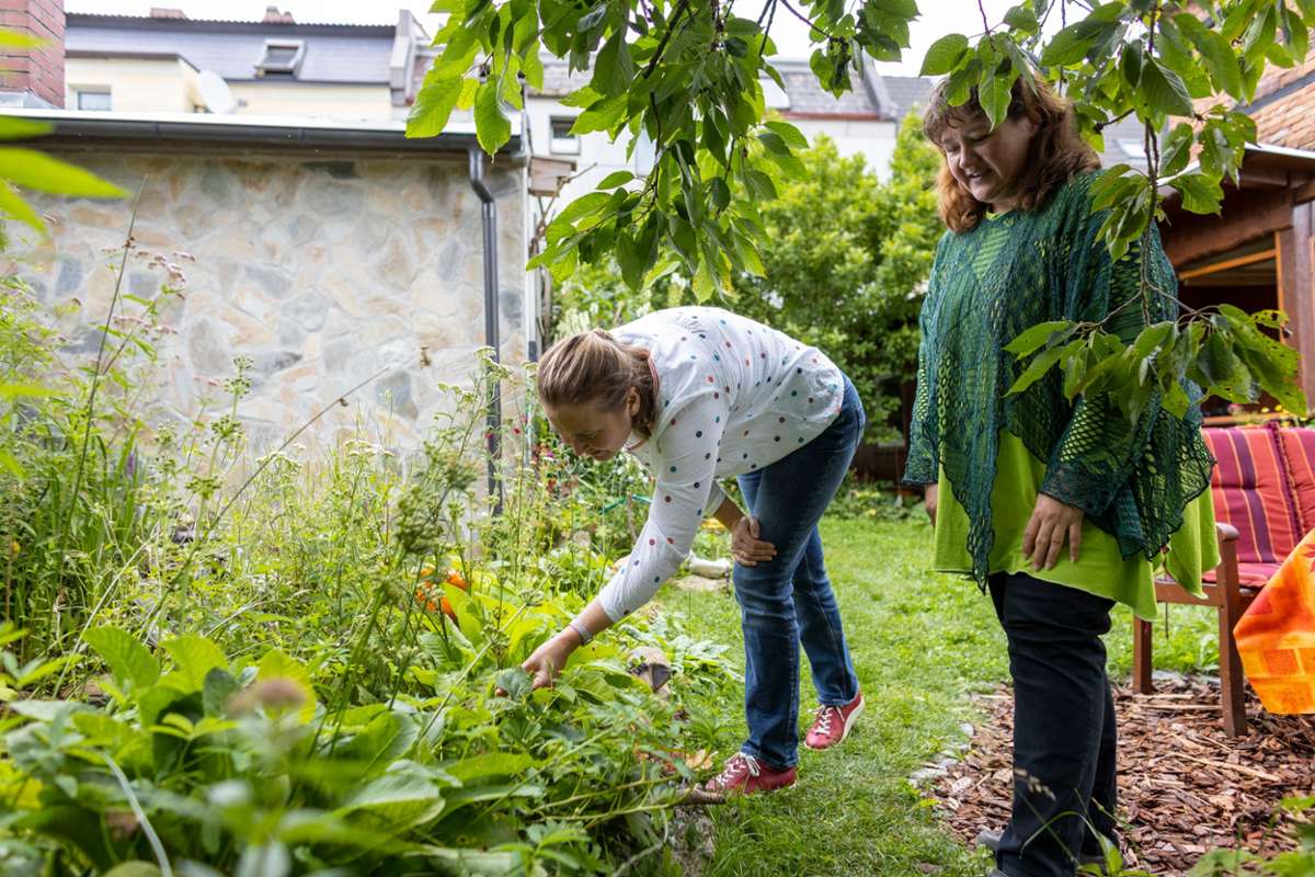 Tipps und Tricks: Garten im Herbst - Fichtelgebirge - Nordbayerischer Kurier | Bilder
