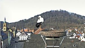 Webcam installiert: Mit dem Storch hoch über Pegnitz