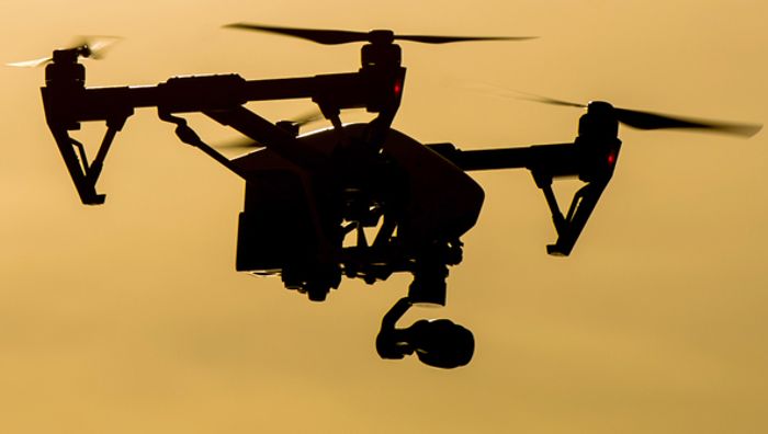 Drohne löst Panik in Wildgehege aus