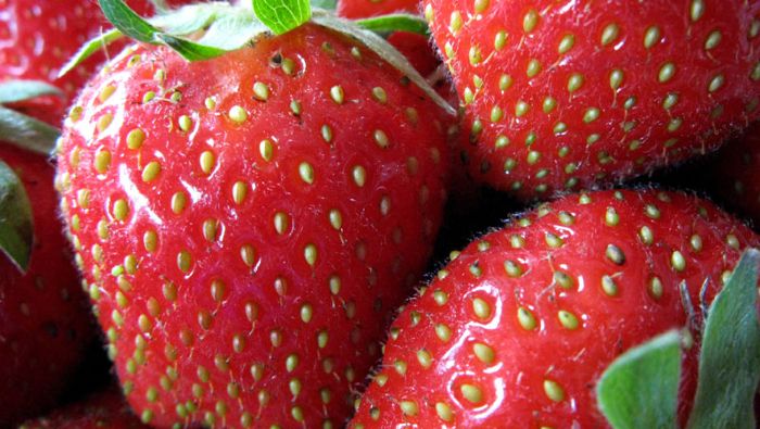 Erdbeer-Daiquiri
