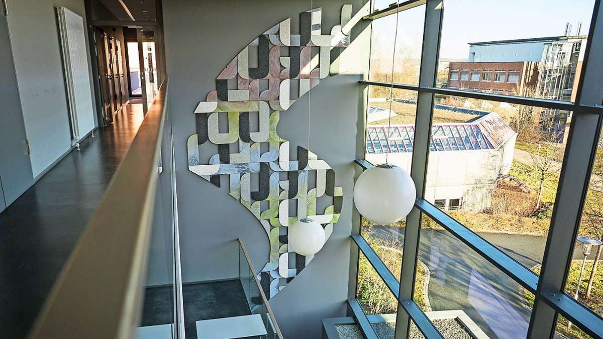 Das Kunstwerk „perspective in surface“ ist knapp zehn Meter hoch und bedeckt eine Wand im Foyer des PNS-Gebäudes in der Bayreuther Uni. Geschaffen hat es Jasmin Schmidt.