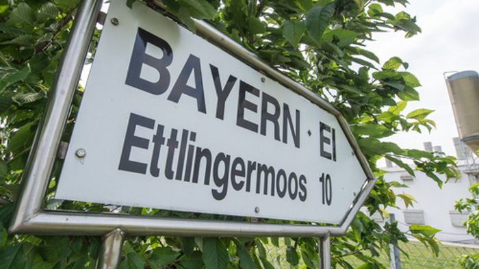 Salmonellen-Verdacht: Bayern-Ei darf keine Eier mehr verkaufen