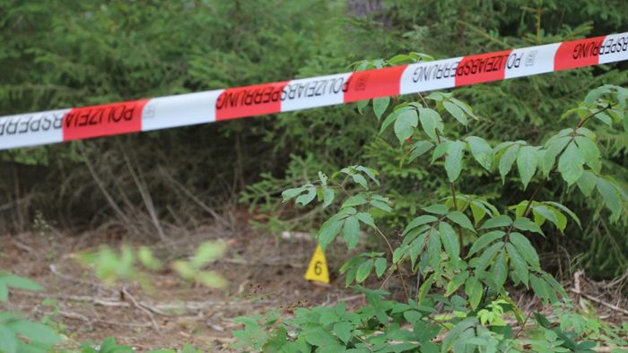 In Wald gefundener Schädel vermisstem Mann zugeordnet
