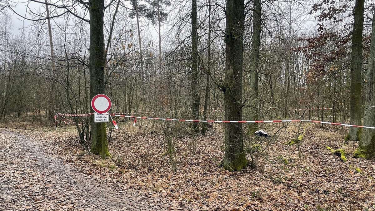 Leiche im Wald: War es Mord?  – Polizei schweigt bislang