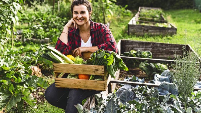 Gemüse selbst angebaut: So klappt das mit Ihrem Hochbeet