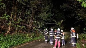 Landkreis Kulmbach : Unwetter sorgt für zahlreiche Feuerwehreinsätze