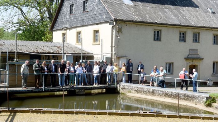 Ortstermin in Mühle: Brendel-Fischer kämpft für die Wasserkraft
