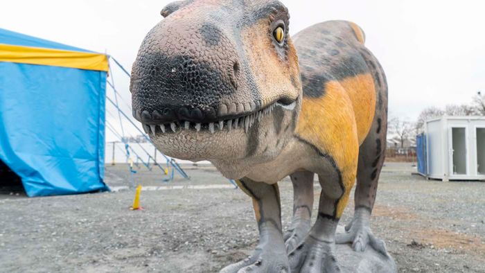 Dinosaurier-Ausstellung in Bayreuth: Schaurig-schöne Urwelt auf dem Volksfestplatz