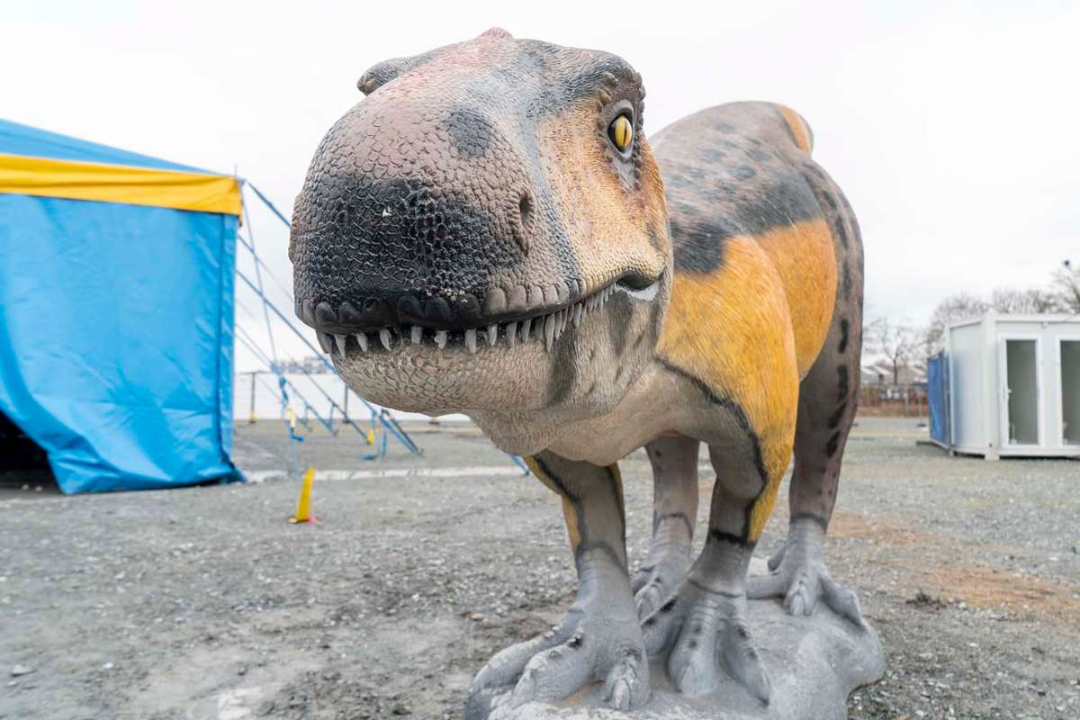 Dinosaurierausstellung in Bayreuth.