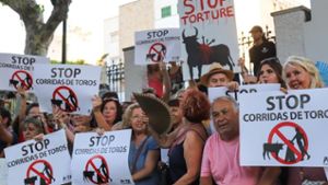Stierkampf feiert auf Mallorca umstrittenes Comeback