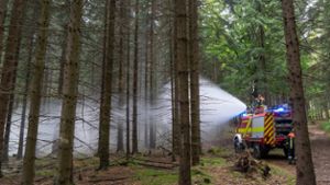 Großübung für Waldbrandbekämpfung
