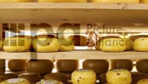 Listerien-Verdacht: Käse-Rückruf
