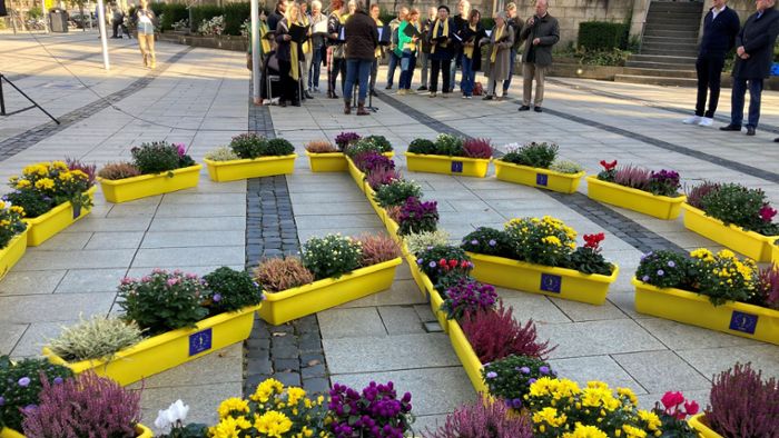 Weltfriedenstag: Friedenskunst aus Blumenkästen