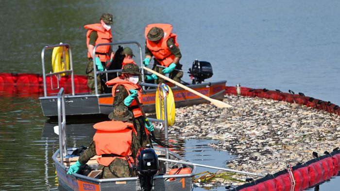 Fischsterben in der Oder: Die Suche nach der Ursache geht weiter – was bisher bekannt ist