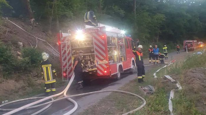 Autofahrerin sieht Feuer: Brandstiftung? - Waldstück in Flammen