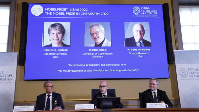 Stockholm: Chemie-Nobelpreis geht an Molekülforscher