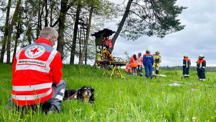 Großübung: Bayreuther Rettungshunde üben im Verbund