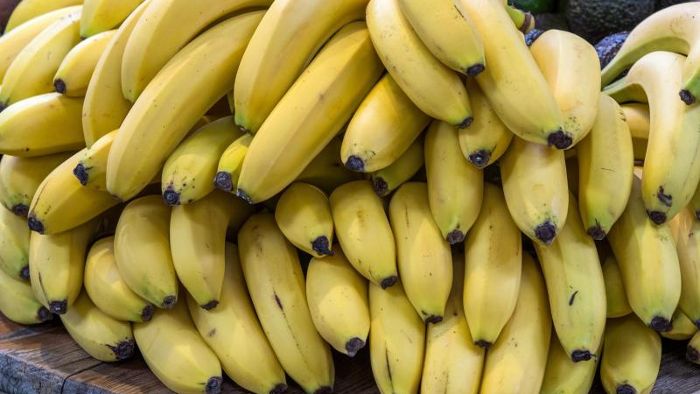 Bananenkrankheit in Kolumbien - Exportsorte betroffen