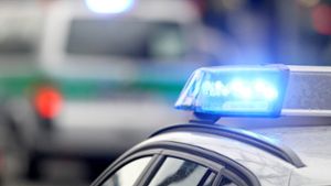 Polizei findet 16 gestohlene Räder in Auto