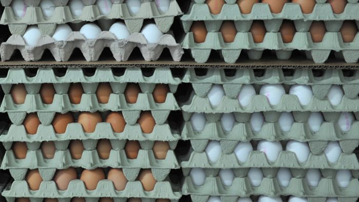 Eier aus Bayern verursachten europaweiten Salmonellen-Ausbruch
