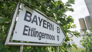 Salmonellen-Verdacht: Bayern-Ei ruft vorsorglich Eier zurück