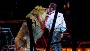 Bayreuth: Stadtrat entscheidet über Wildtier-Verbot für Zirkusse
