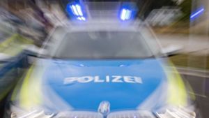 Polizei stoppt Autodieb nach Verfolgungsjagd
