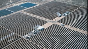 Rund 30.000 Anleger von Solar Millennium-Pleite betroffen