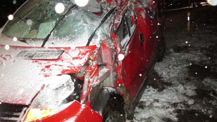 Autofahrer (27) kracht gegen Baum - schwer verletzt